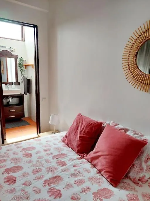 Charming Avenue Apartment Faro Portugal