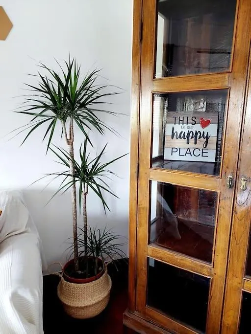 Charming Avenue Apartment Faro 0*,